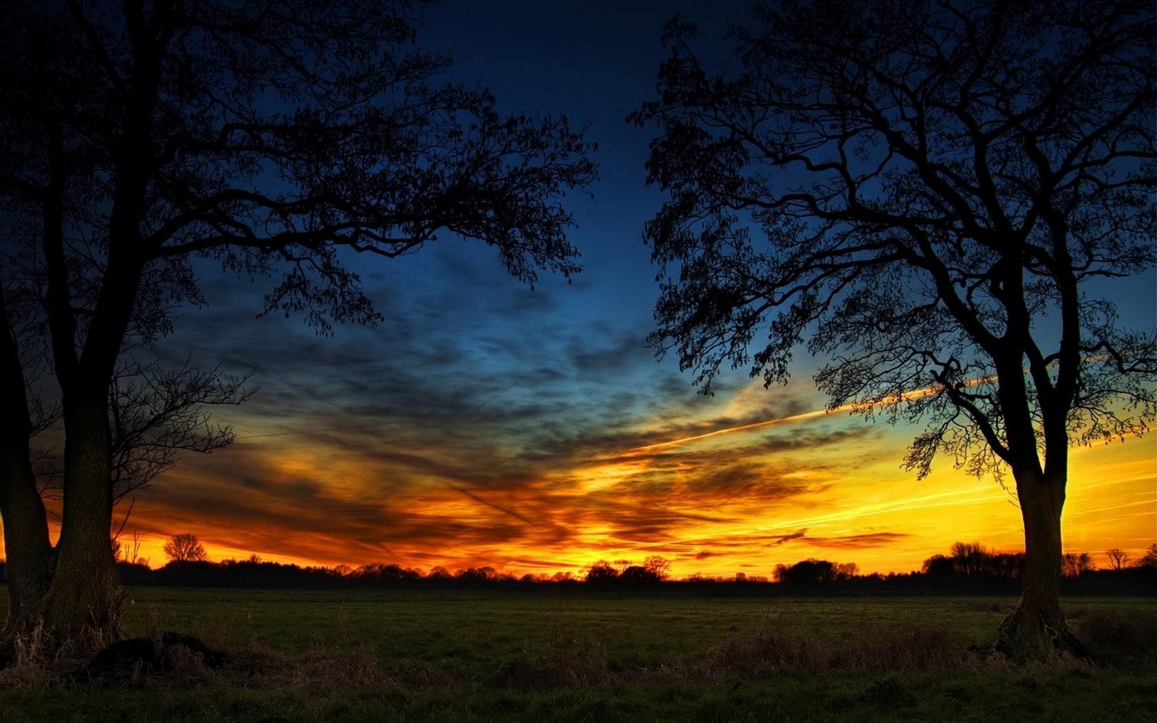 Nature img