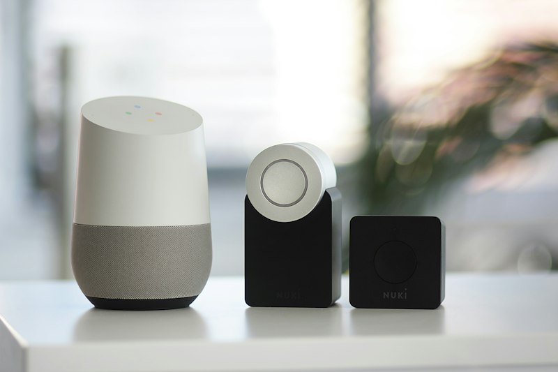Home Mini Smart Speaker