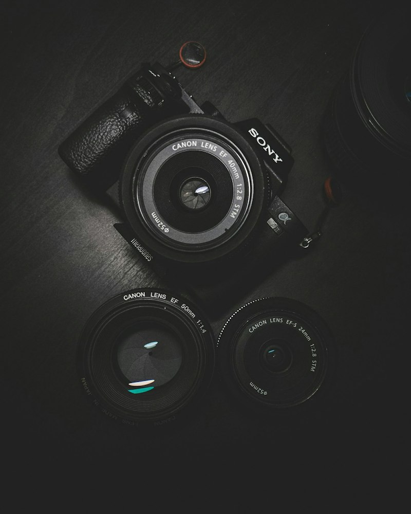 Mirrorless Pro Body